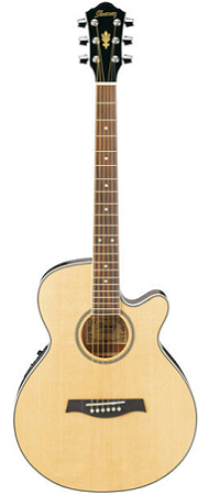 Ibanez AEG8E in Natur